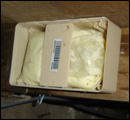 termite classification1