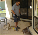termite classification1