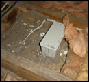 termite classification1